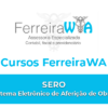 Curso SERO – Sistema Eletrônico de Aferição de Obras